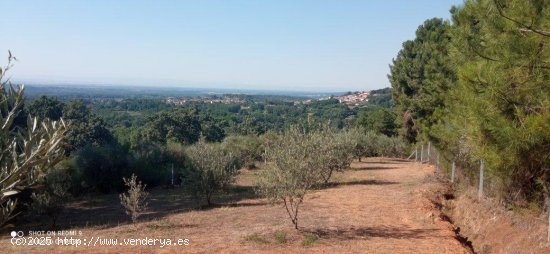 Finca en venta en Candeleda (Ávila)