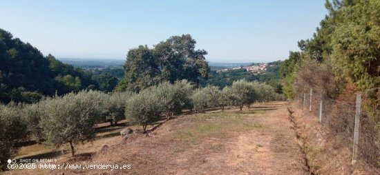 Finca en venta en Candeleda (Ávila)