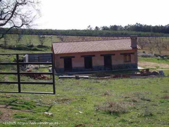 Finca en venta en Candeleda (Ávila)