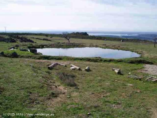 Finca en venta en Candeleda (Ávila)