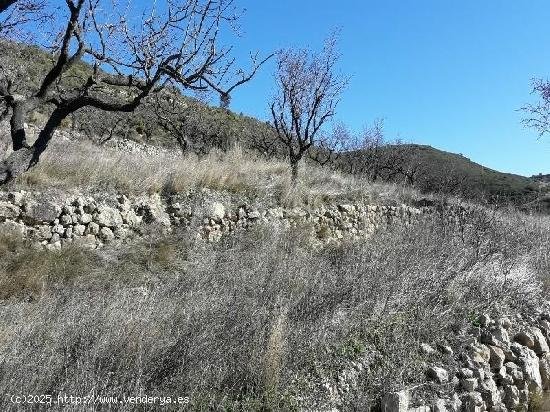 Parcela en venta en Tírig (Castellón)