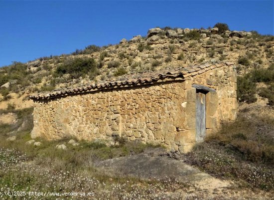 Finca en venta en Maella (Zaragoza)