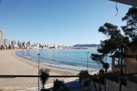 Apartamento en venta a estrenar en Benidorm (Alicante)