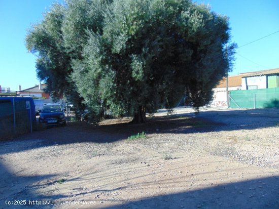  Parcela en venta en San Pedro del Pinatar (Murcia) 