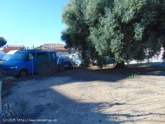 Parcela en venta en San Pedro del Pinatar (Murcia)