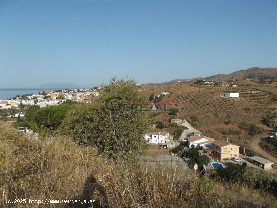 Parcela en venta en Benajarafe (Málaga)