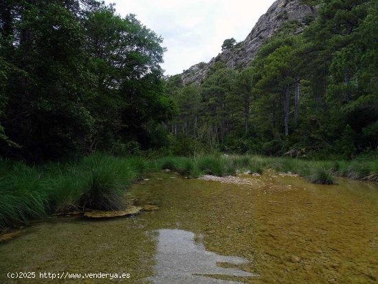 Finca en venta en Beceite (Teruel)