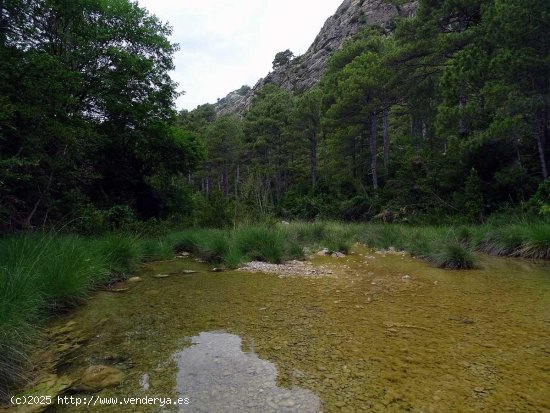 Finca en venta en Beceite (Teruel)