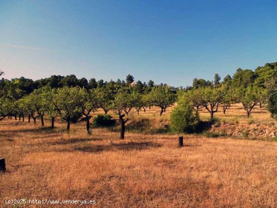  Finca en venta en Horta de Sant Joan (Tarragona) 