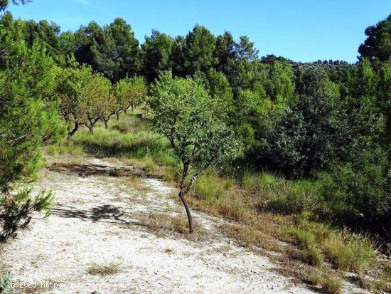 Finca en venta en Horta de Sant Joan (Tarragona)