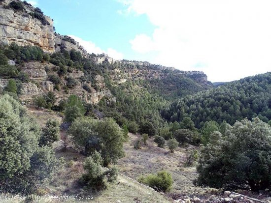 Finca en venta en Valderrobres (Teruel)