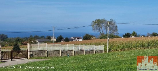 Parcela en venta en Coaña (Asturias)