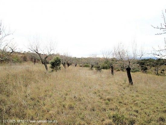 Solar en venta en Alquézar (Huesca)