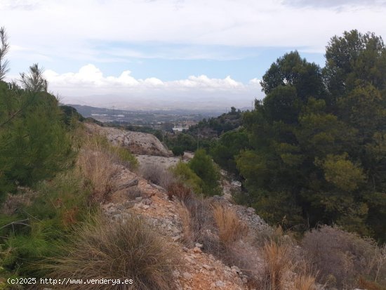 Solar en venta en Alhaurín de la Torre (Málaga)