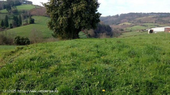 Parcela en venta en Valdés (Asturias)