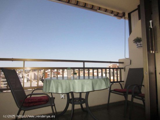 Apartamento en alquiler en Fuengirola (Málaga)