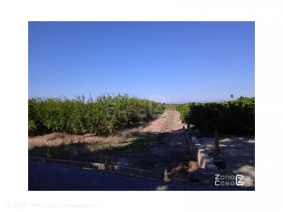 Finca en venta en Algemesí (Valencia)