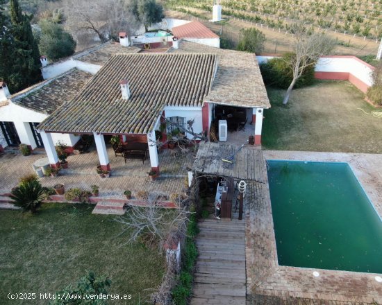 Casa en venta en Burguillos (Sevilla)