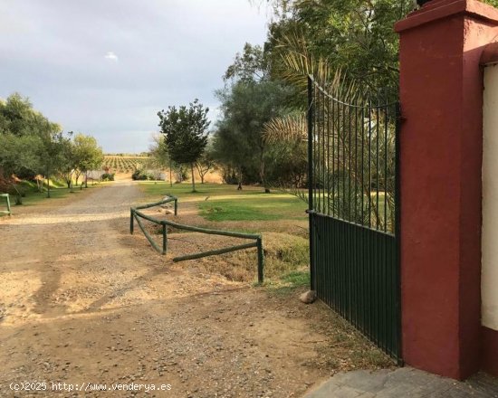 Casa en venta en Burguillos (Sevilla)