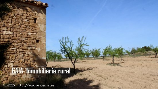 Finca en venta en Maella (Zaragoza)