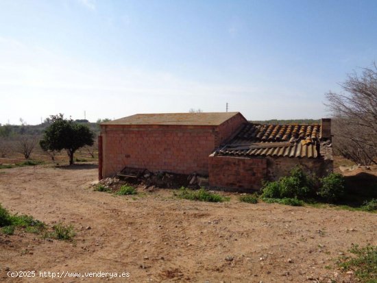  Finca en venta en Riudoms (Tarragona) 