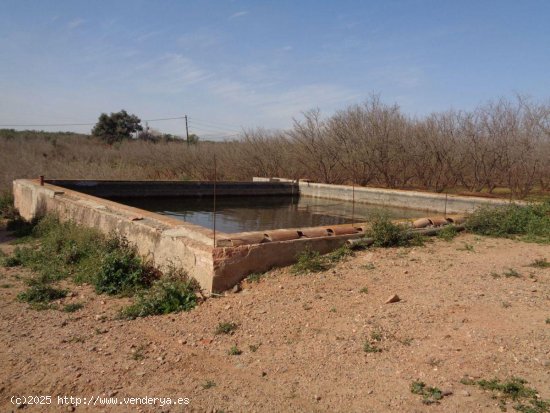 Finca en venta en Riudoms (Tarragona)