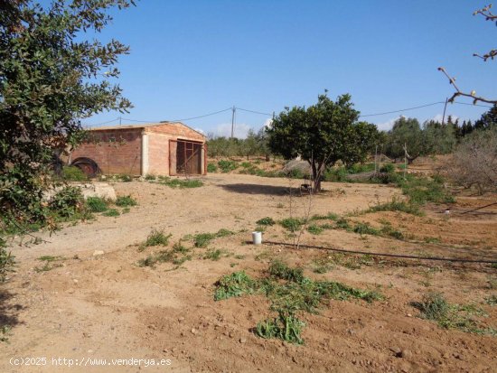 Finca en venta en Riudoms (Tarragona)