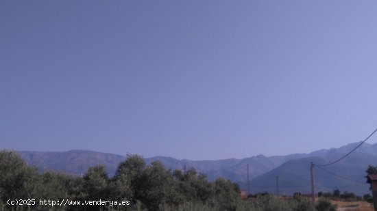 Finca en venta en Madrigal de la Vera (Cáceres)