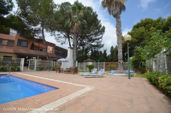 Chalet en venta en Torrevieja (Alicante)