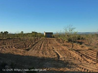 Finca en venta en Fabara (Zaragoza)