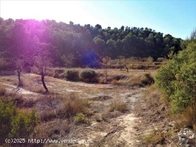 Finca en venta en Maella (Zaragoza)