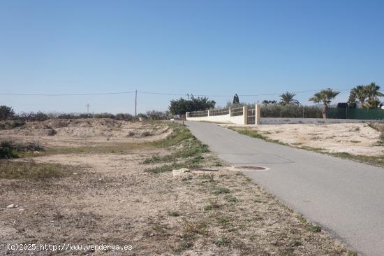  PARCELA DE 26.000 M2- SEGRAGABLE en 2- ZONA LLANO SAN JOSÉ/MATOLA - ALICANTE 