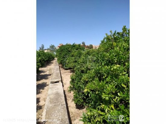  Finca en venta en Algemesí (Valencia) 