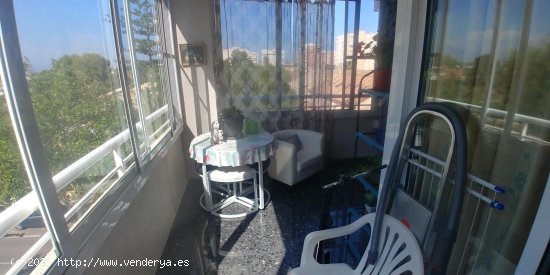 Piso en venta en Alicante (Alicante)