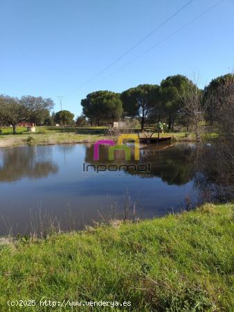  MAGNIFICA PARCELA EN LA ZONA DEL MANANTÍO!! - BADAJOZ 