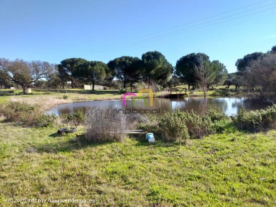 MAGNIFICA PARCELA EN LA ZONA DEL MANANTÍO!! - BADAJOZ