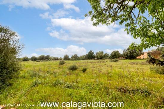 Finca rustica en esquina de 14.000 metros - BALEARES