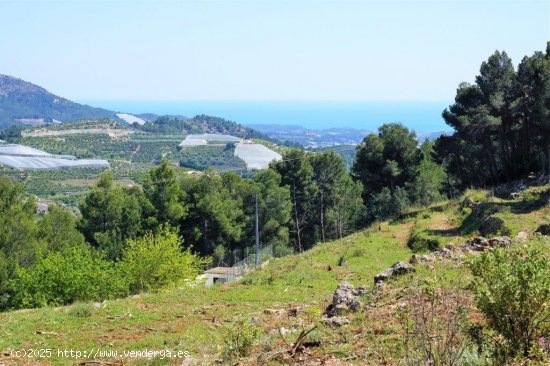 Parcela para invertir en Callosa d En Sarrià (Alicante)