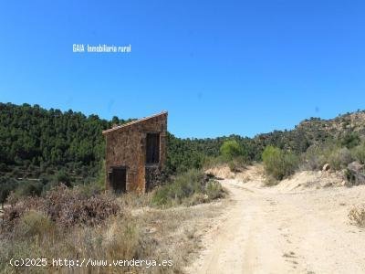 Finca en venta en Maella (Zaragoza)