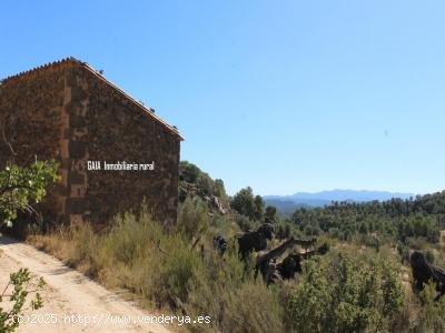 Finca en venta en Maella (Zaragoza)