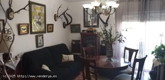 Piso en venta en Málaga (Málaga)