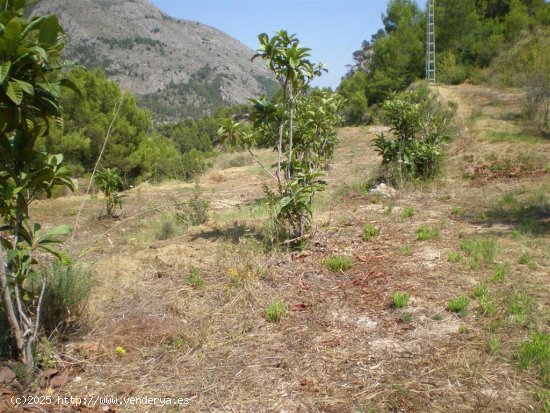 Parcela para invertir en Callosa d En Sarrià (Alicante)