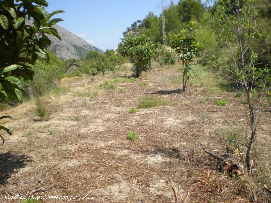 Parcela para invertir en Callosa d En Sarrià (Alicante)