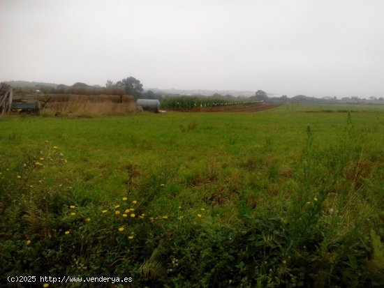 Finca en venta en Barreiros (Lugo)