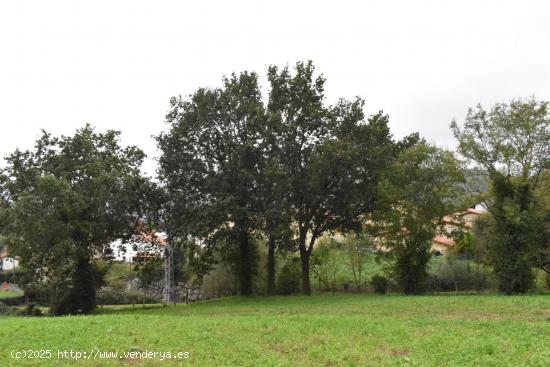 Terreno  Iruz Santiurde de Toranzo - CANTABRIA