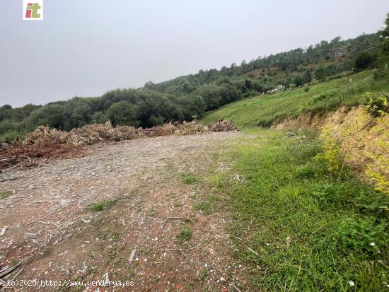 Terreno amplio de 65.000 m2 es en su gran mayoria monte. - VIZCAYA