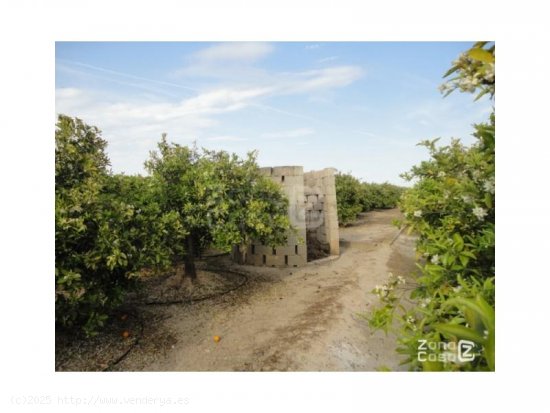 Finca en venta en Albalat de la Ribera (Valencia)