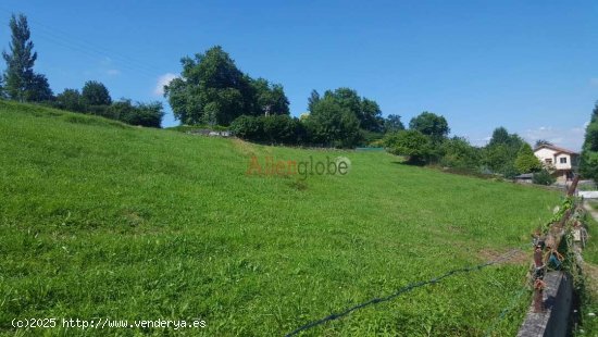  Parcela en venta en Oviedo (Asturias) 