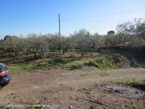 Finca en venta en La Selva del Camp (Tarragona)