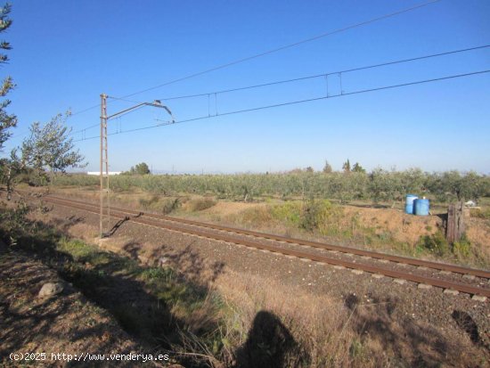 Finca en venta en La Selva del Camp (Tarragona)